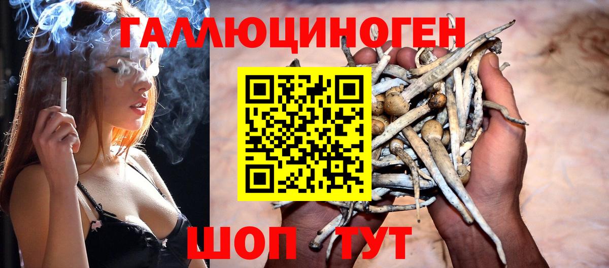 Псилоцибиновые грибы MAGIC MUSHROOMS Астрахань