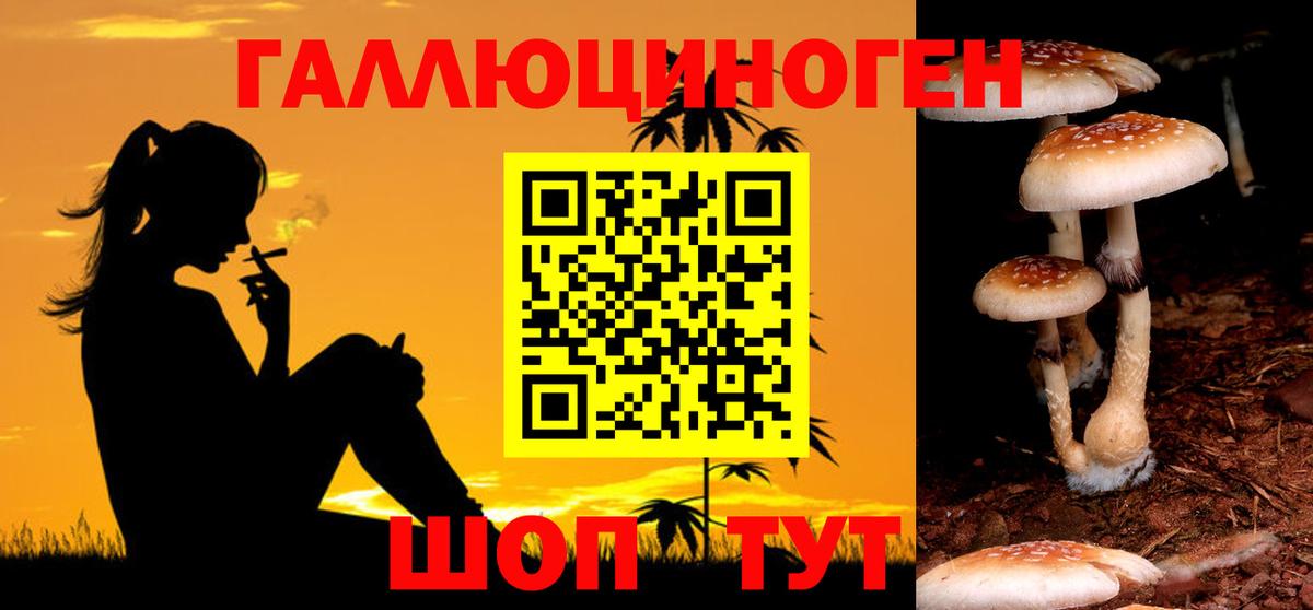 Псилоцибиновые грибы Cubensis  наркота  Астрахань  Вход с VPN 